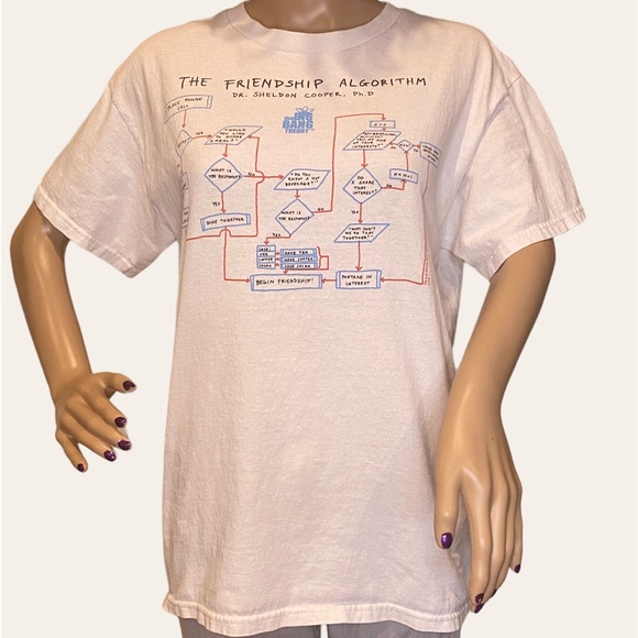 The Big Bang Theory The Friendship Algorithm by Sheldon Cooper Tee Shirt Medium - Picture 2 of 5